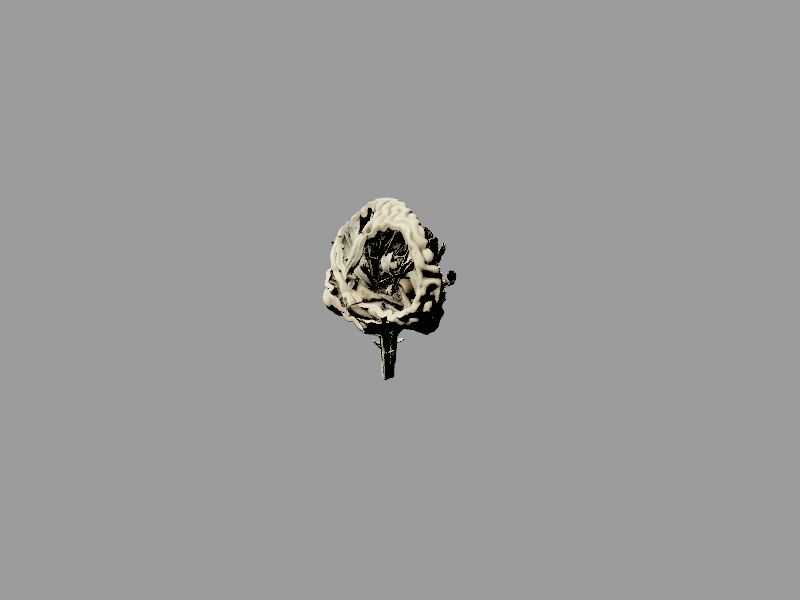 File:Model of a human brain.glb